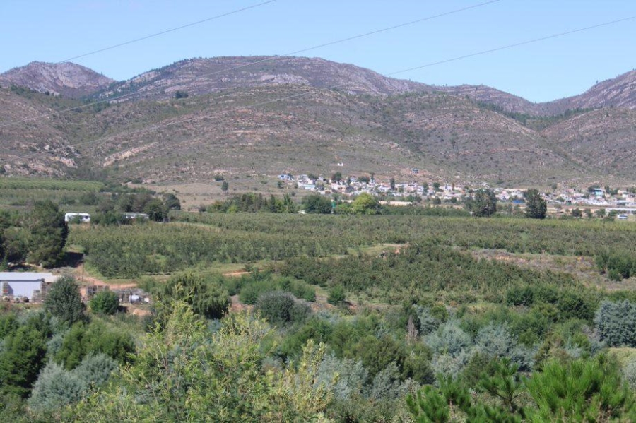 0 Bedroom Property for Sale in Haarlem Western Cape